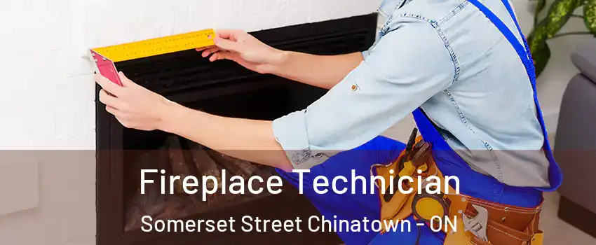 Fireplace Technician Somerset Street Chinatown - ON