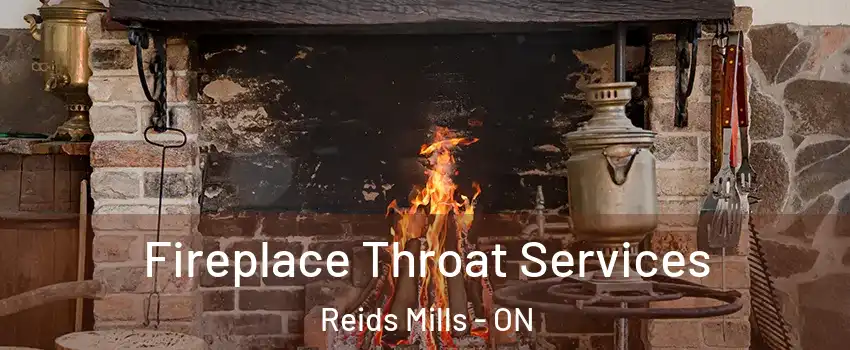  Fireplace Throat Services Reids Mills - ON