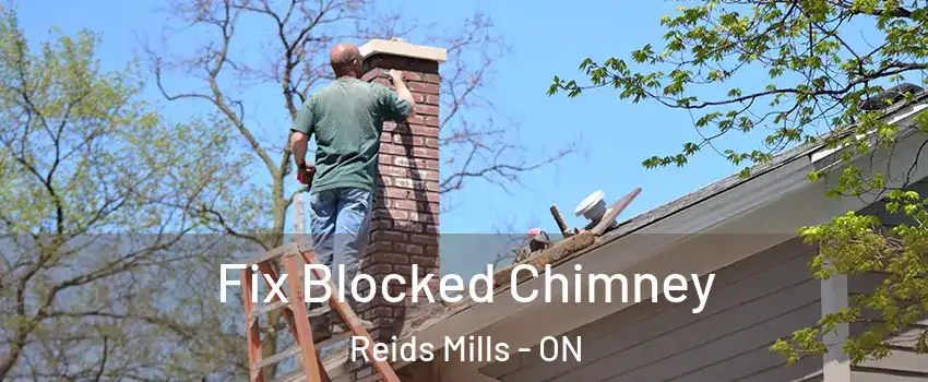  Fix Blocked Chimney Reids Mills - ON