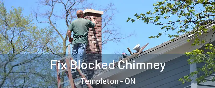  Fix Blocked Chimney Templeton - ON