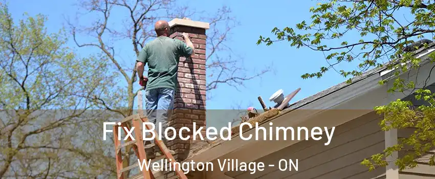  Fix Blocked Chimney Wellington Village - ON