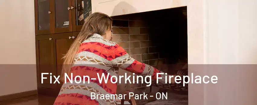  Fix Non-Working Fireplace Braemar Park - ON