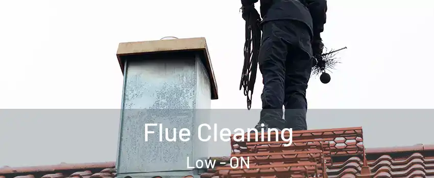 Flue Cleaning Low - ON