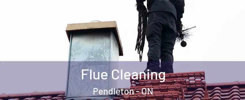  Flue Cleaning Pendleton - ON