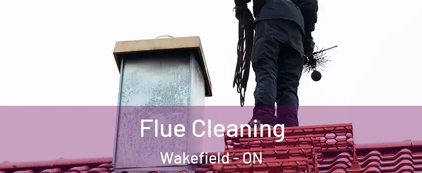  Flue Cleaning Wakefield - ON