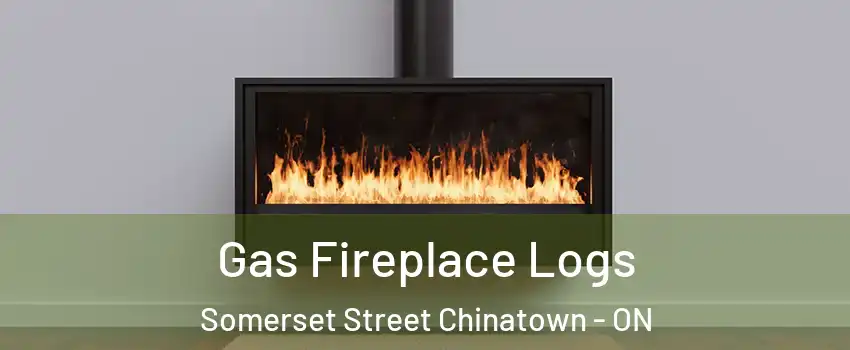  Gas Fireplace Logs Somerset Street Chinatown - ON