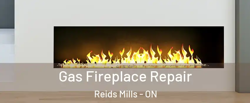  Gas Fireplace Repair Reids Mills - ON