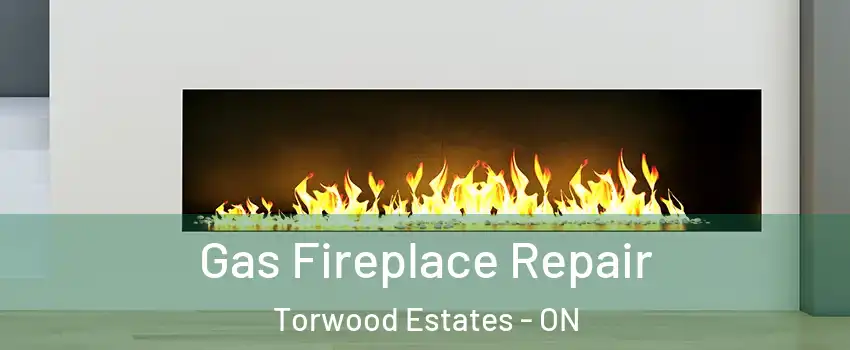  Gas Fireplace Repair Torwood Estates - ON