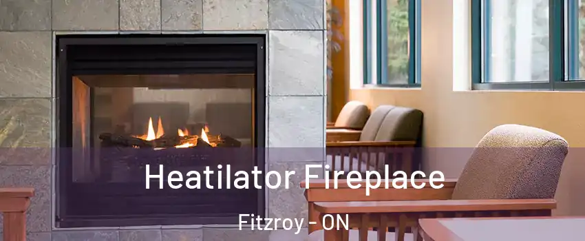  Heatilator Fireplace Fitzroy - ON