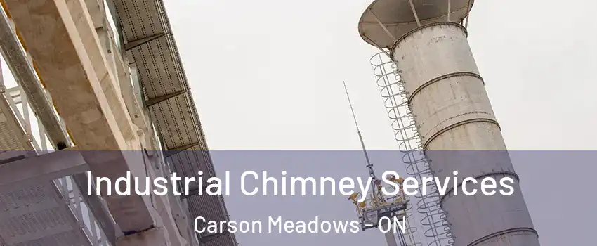  Industrial Chimney Services Carson Meadows - ON