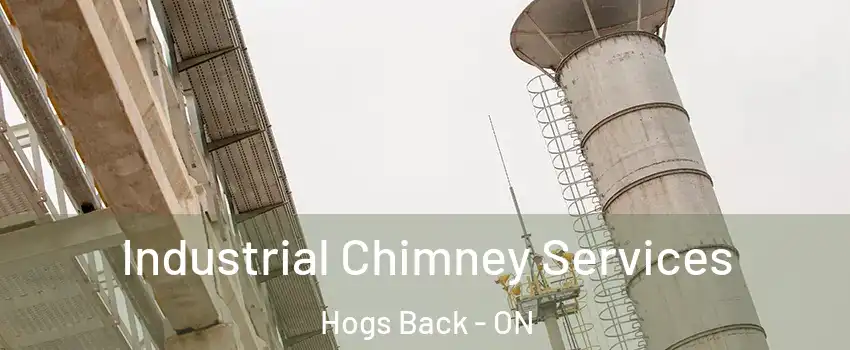  Industrial Chimney Services Hogs Back - ON