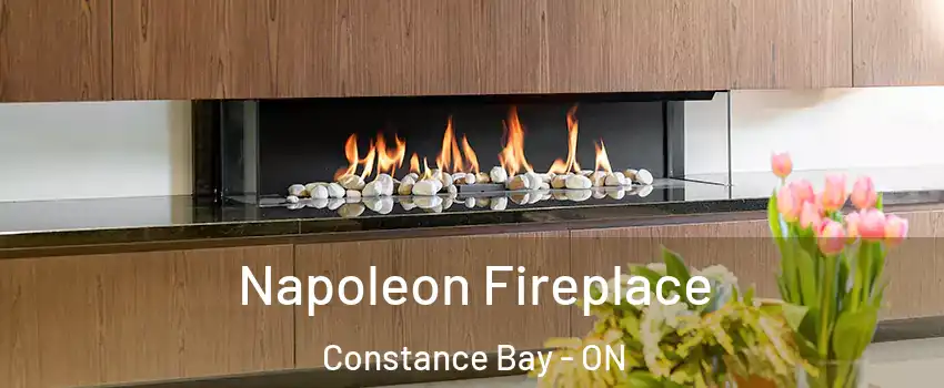  Napoleon Fireplace Constance Bay - ON