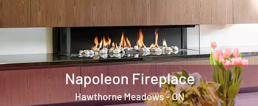  Napoleon Fireplace Hawthorne Meadows - ON