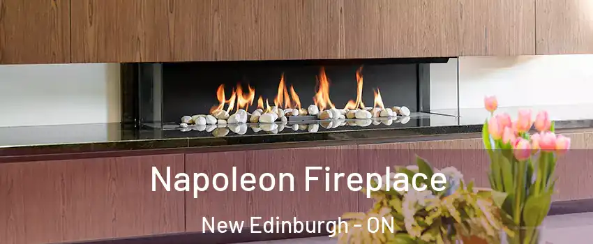  Napoleon Fireplace New Edinburgh - ON