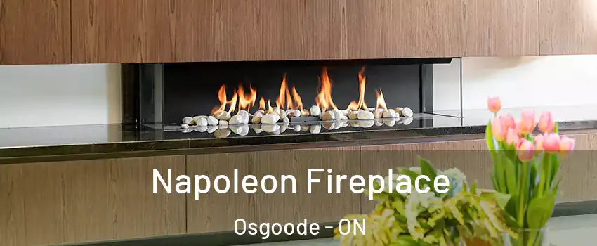  Napoleon Fireplace Osgoode - ON