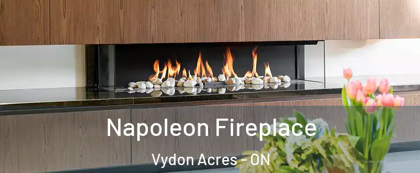  Napoleon Fireplace Vydon Acres - ON