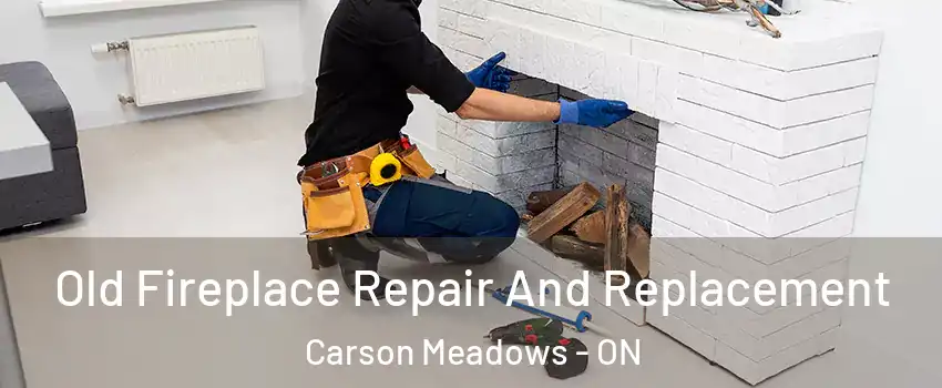  Old Fireplace Repair And Replacement Carson Meadows - ON