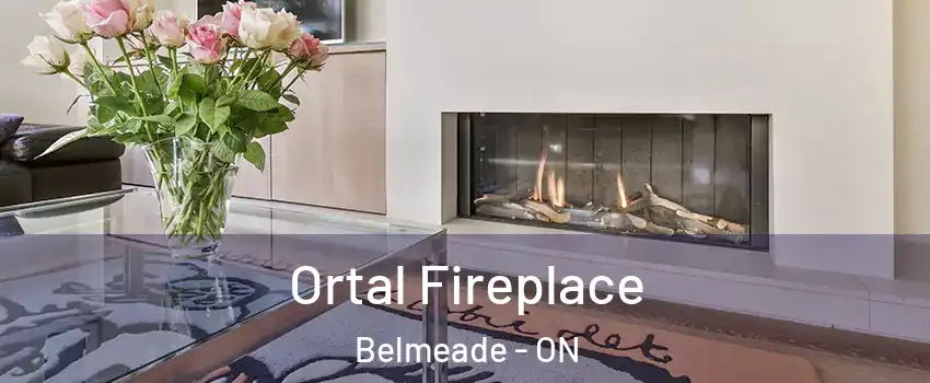 Ortal Fireplace Belmeade - ON