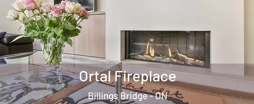 Ortal Fireplace Billings Bridge - ON