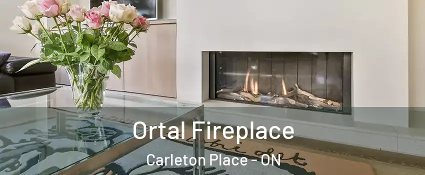 Ortal Fireplace Carleton Place - ON