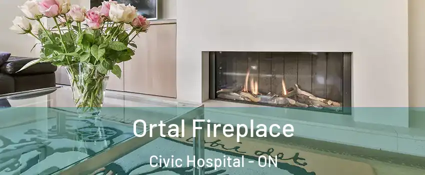 Ortal Fireplace Civic Hospital - ON