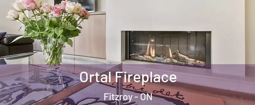 Ortal Fireplace Fitzroy - ON