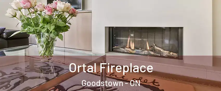 Ortal Fireplace Goodstown - ON