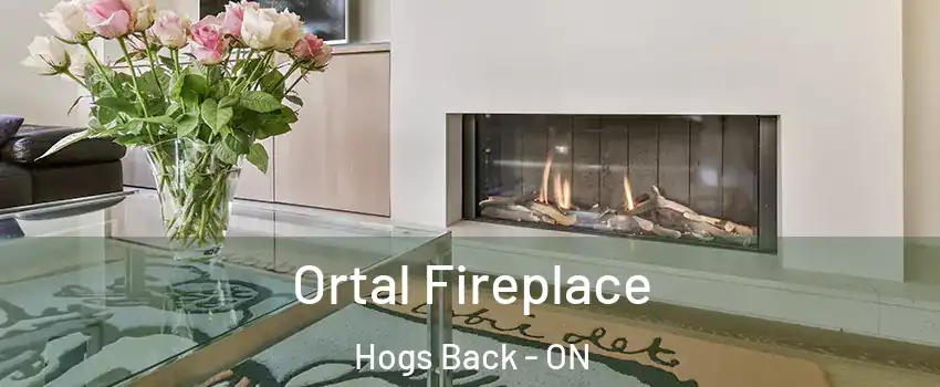 Ortal Fireplace Hogs Back - ON