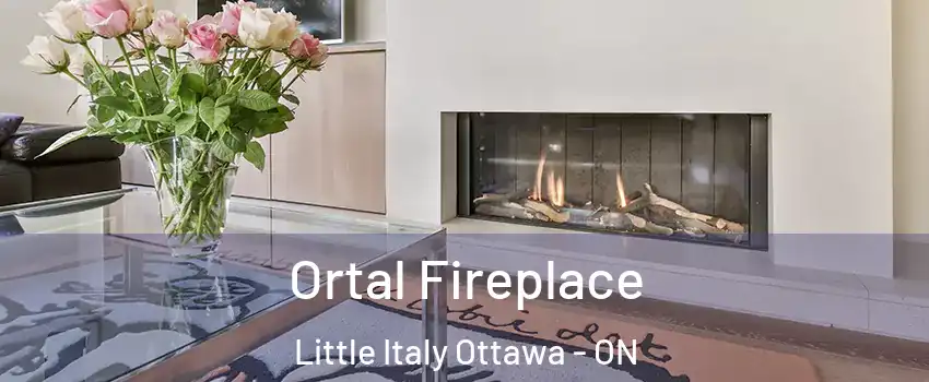 Ortal Fireplace Little Italy Ottawa - ON