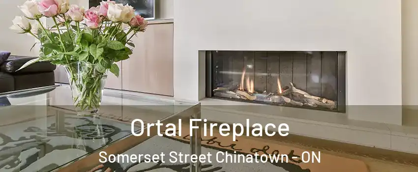 Ortal Fireplace Somerset Street Chinatown - ON